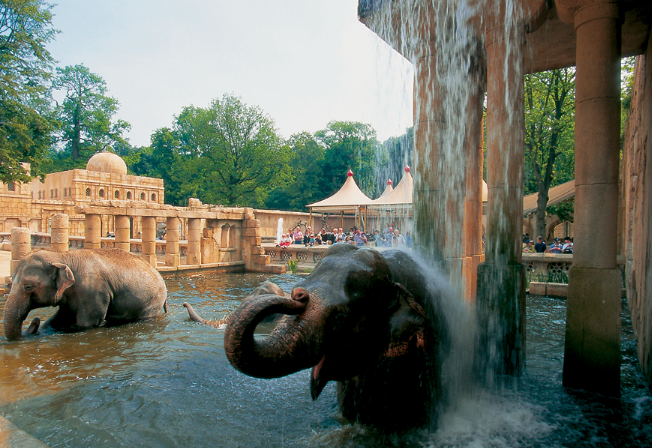 Der Erlebniszoo Hannover lockt viele Besucher an